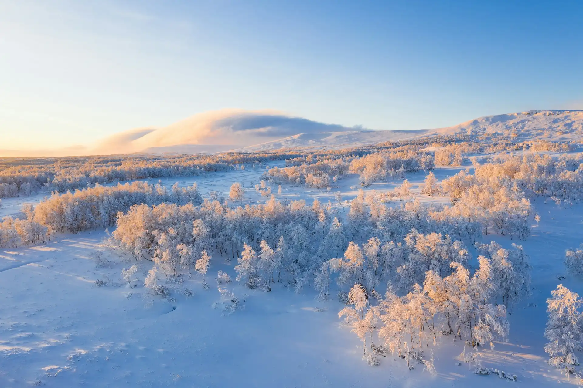 Aerial view of a snowy landscape with frosted trees under a clear blue sky.